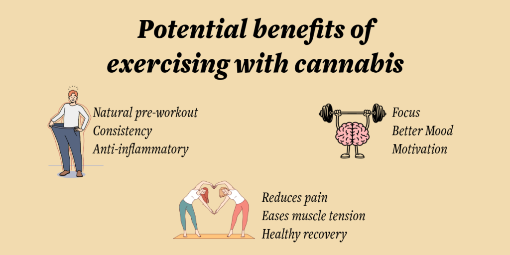 Benefits of Using Cannabis for Workouts