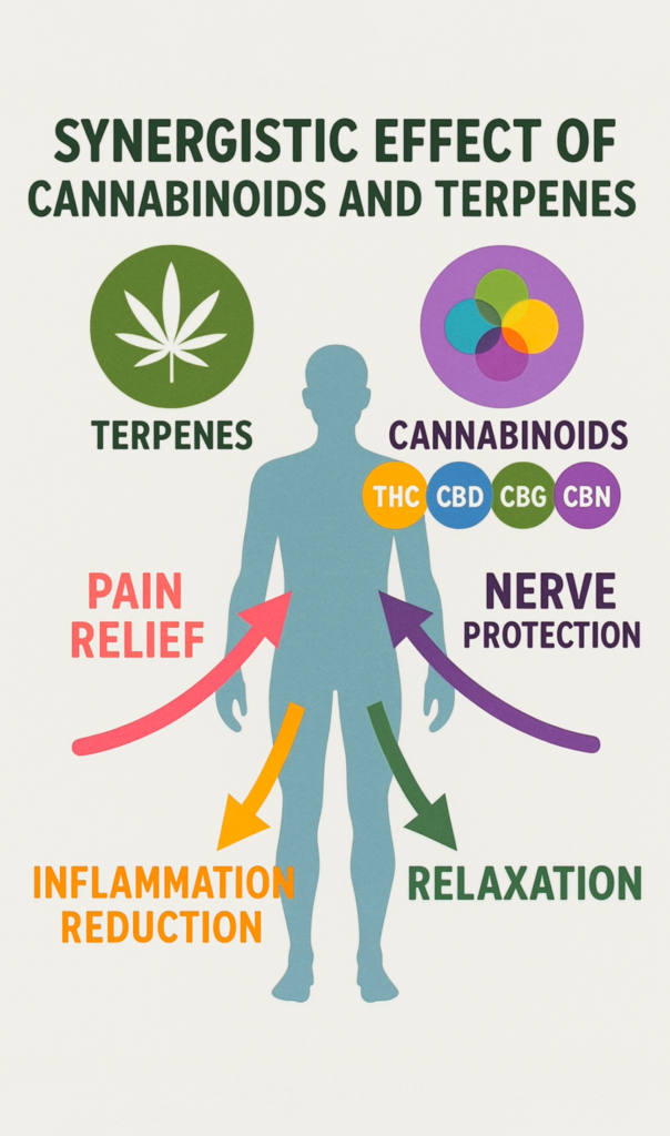How Cannabinoids and Terpines work together with RSO to provide pain relief, relaxation, and reduced inflammation.
