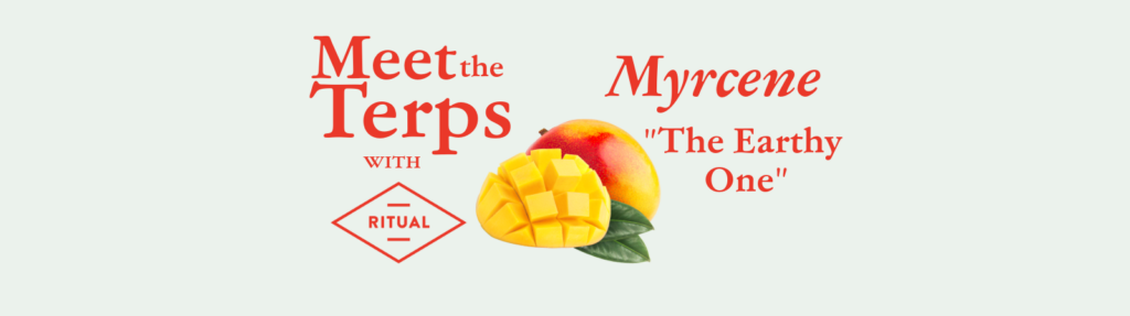 Meet the Terps with Ritual Cannabis: Myrcene Terpene - The Earthy One
